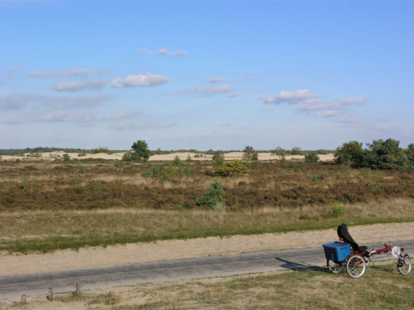 Heidevelden en stuifzand langs het fietspad naar Bosch en Duin in de Loonse en Drunense Duinen