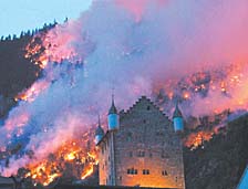 Grote bosbrand in 2003 waarbij meer dan 300 ha aan bos verloren zijn gegaan